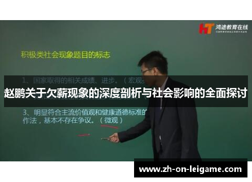 赵鹏关于欠薪现象的深度剖析与社会影响的全面探讨